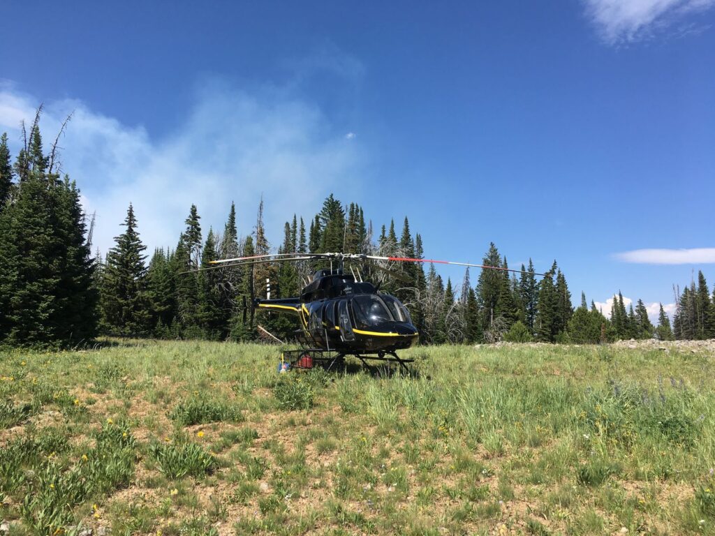 Air Shasta Rotor & Wing